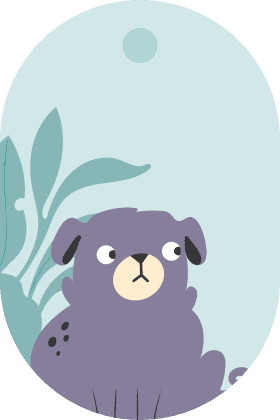 Un carlino con una insignia de 4,2 en un arco de Wuff con forma de chapa
