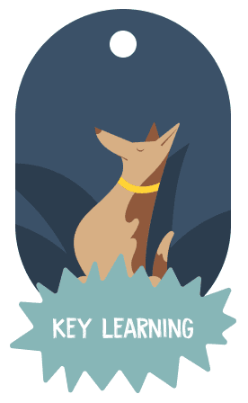 Una chapa de Wuff con un perro y las palabras Key learning