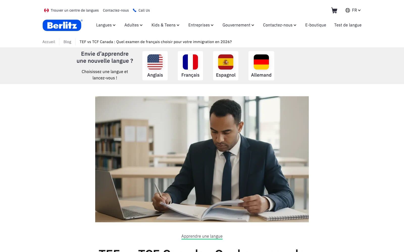 Berlitz CA · SEO & Blog Production, image 4 of 4