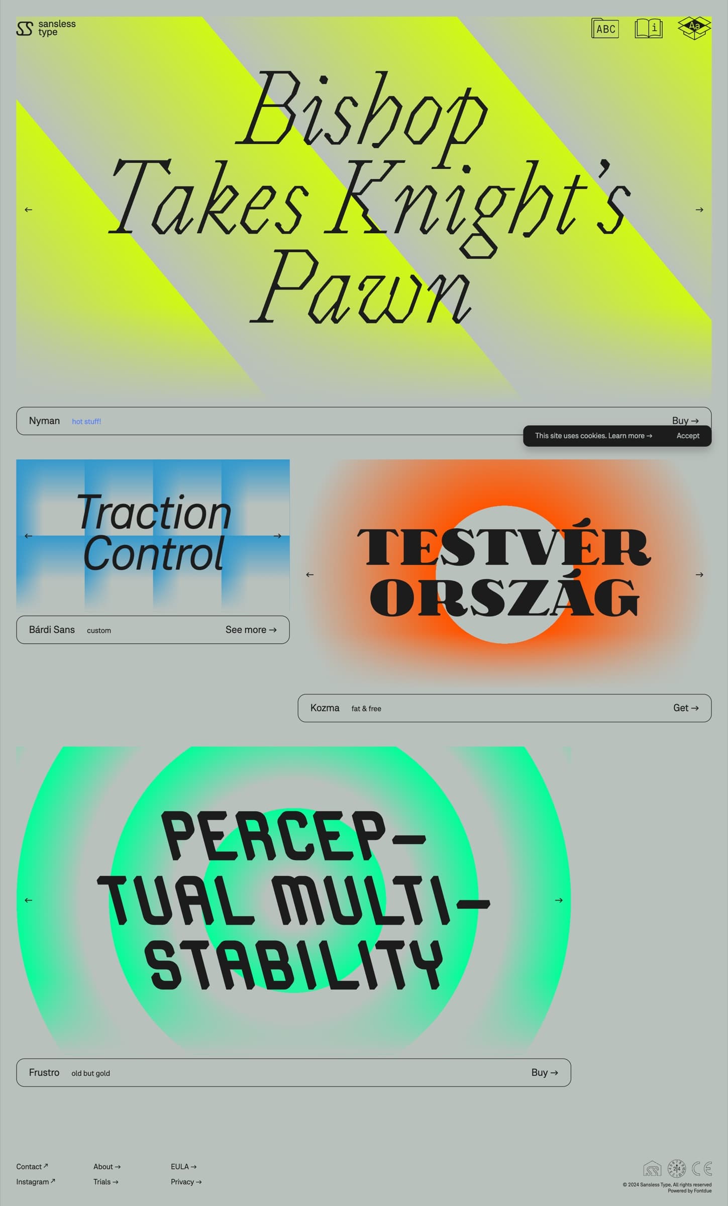 Sansless · Type Foundry Site, image 6 of 8
