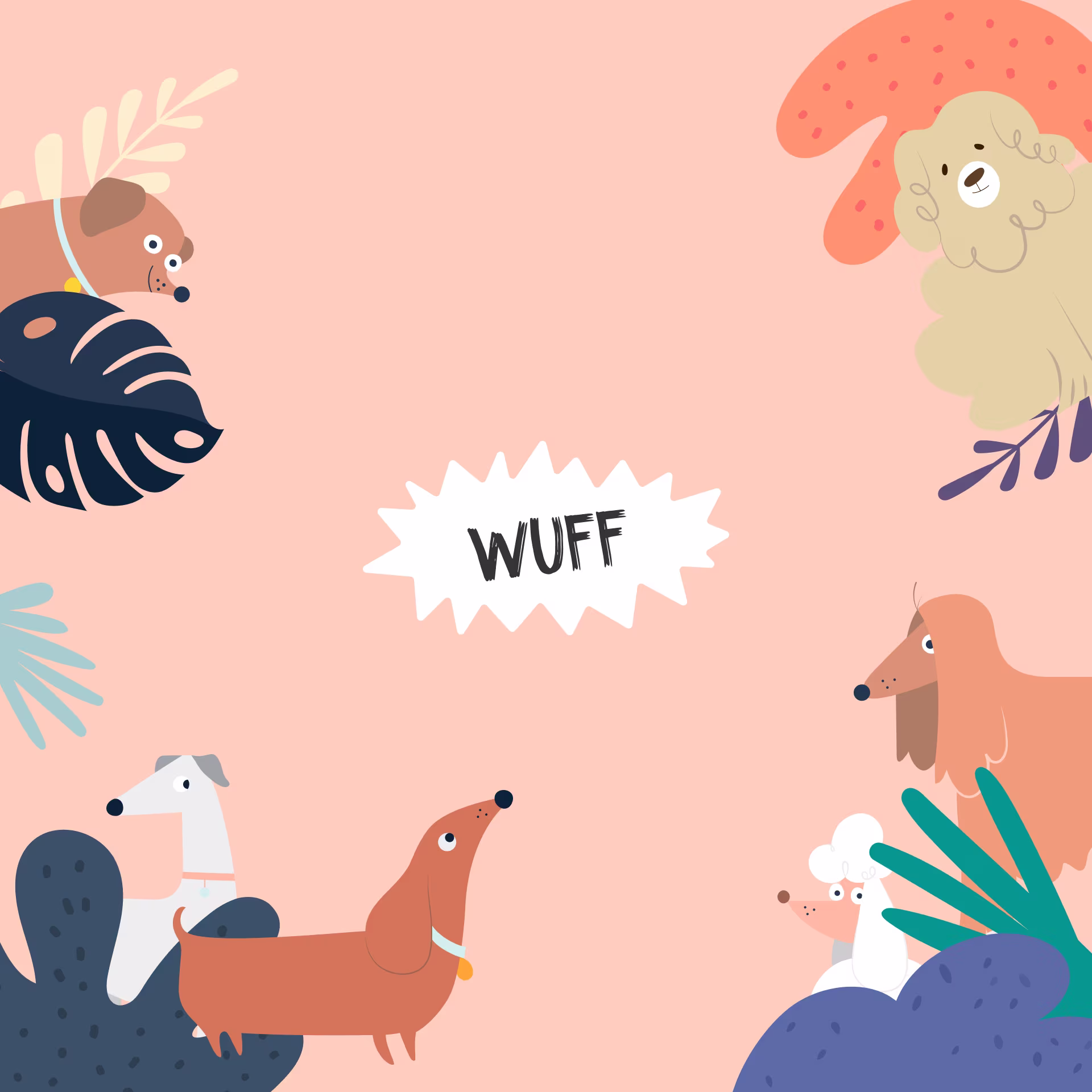 Brand illustration for social