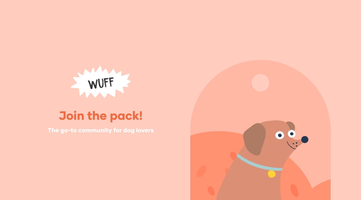 Wuff · Brand, App and Launch