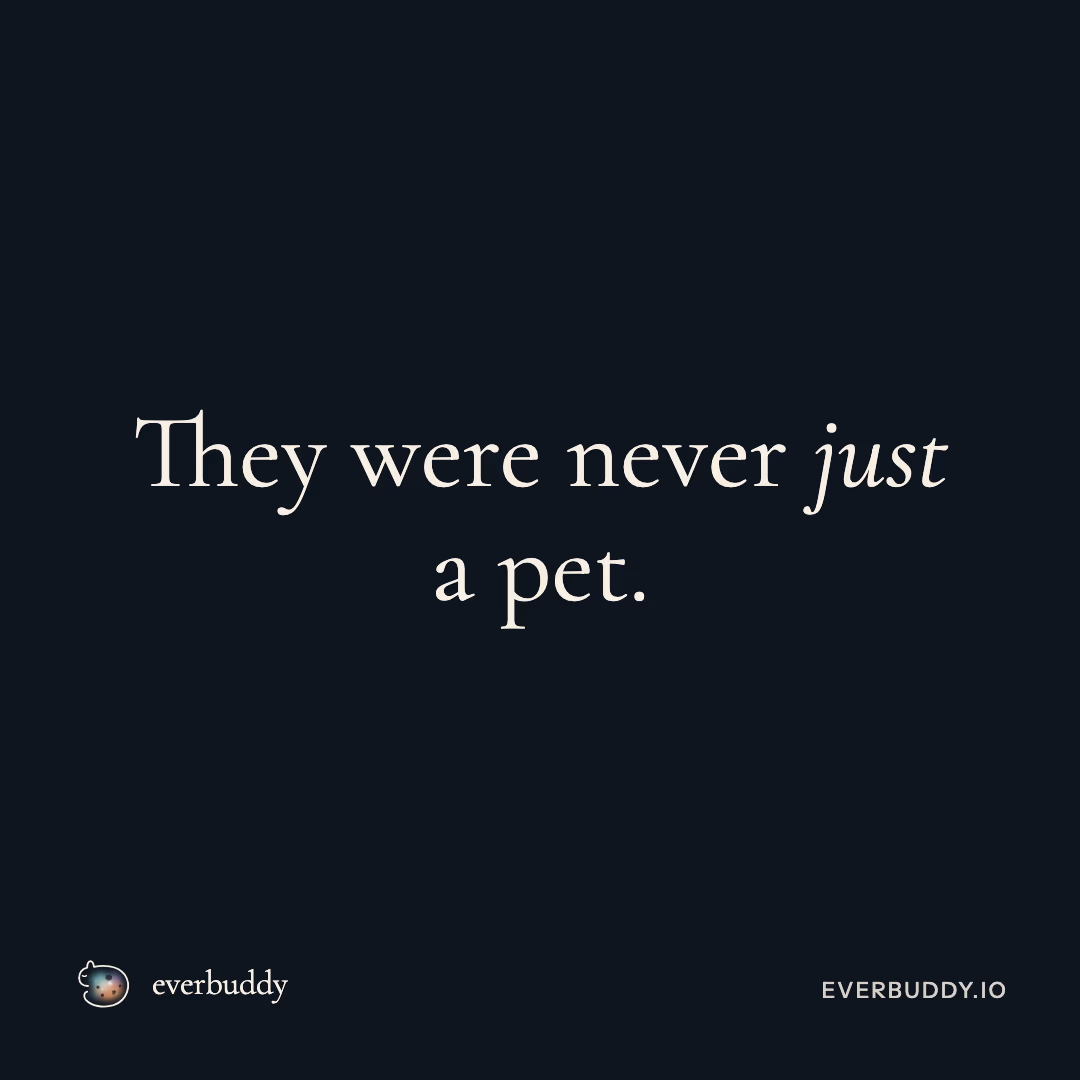 Una publicación de Everbuddy sobre fondo noche: nunca fueron solo una mascota.